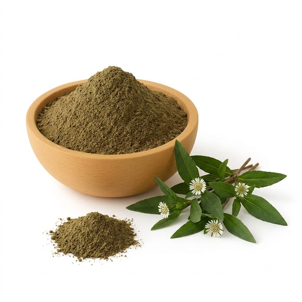 BAQ Henna Exporter From Indian